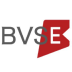 BVSE,cadena de valor,BVSE